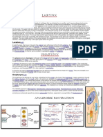 Larynx: Pharynx
