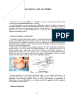 Cap.7. Teratom Sacrococcigian. Anomalii Tegumentare