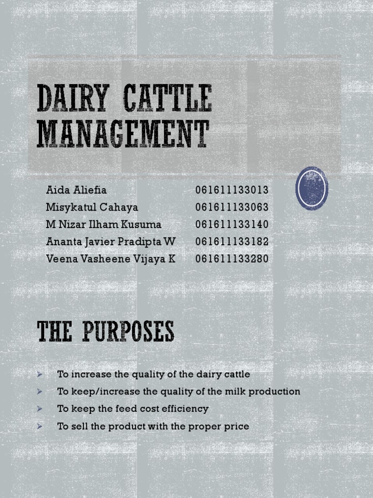 Dairy Cattle Management Practices | PDF | Dairy Cattle | Calf