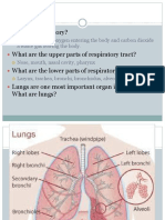 What Is Respiratory?