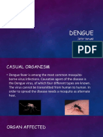 Dengue: Jatin Tanwar IXE 27