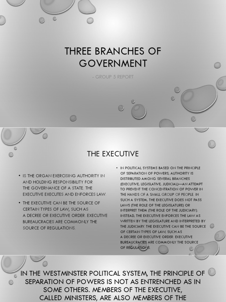 Three Branches of Government | PDF | Legislature | Judiciaries