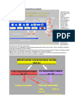 CURS 15, 16-Sd Coronariene Acute Si IC