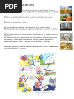Circuito Productivo del Trigo en Argentina | PDF | Trigo | Harina