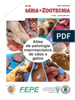 Atlas de Patologia Macroscópica de Cães e Gatos - Caderno Técnico 85.pdf