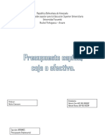 Presupuesto de Capital, Caja o Efectivo