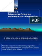 Cap 1 Estructuras Primarias Sedimentarias PDF