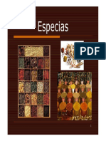 176843353-ESPECIAS.pdf