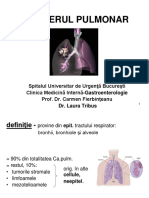 Cancerul Pulmonar Corectat Cfb