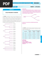 Cad c1 Curso A Prof Exercicios Biologia