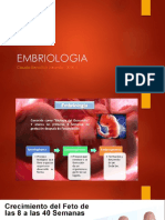 Embriologia Cabeza