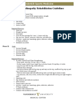 Patellar Tendinopathy Rehabilitation Guidelines: Vanderbilt Sports Medicine