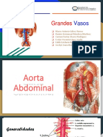 Aorta Abdominal