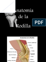 Anatomía de La Rodilla
