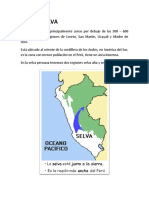 Paper de La Region Selva