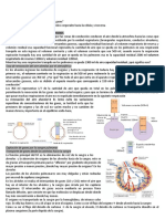 3Fisiología Respiratoria II Parte Ana