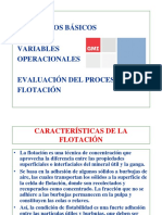 Flotacion Variables Operacionales