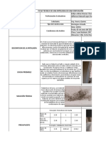 Ficha Técnica para Patologías en La Construcción