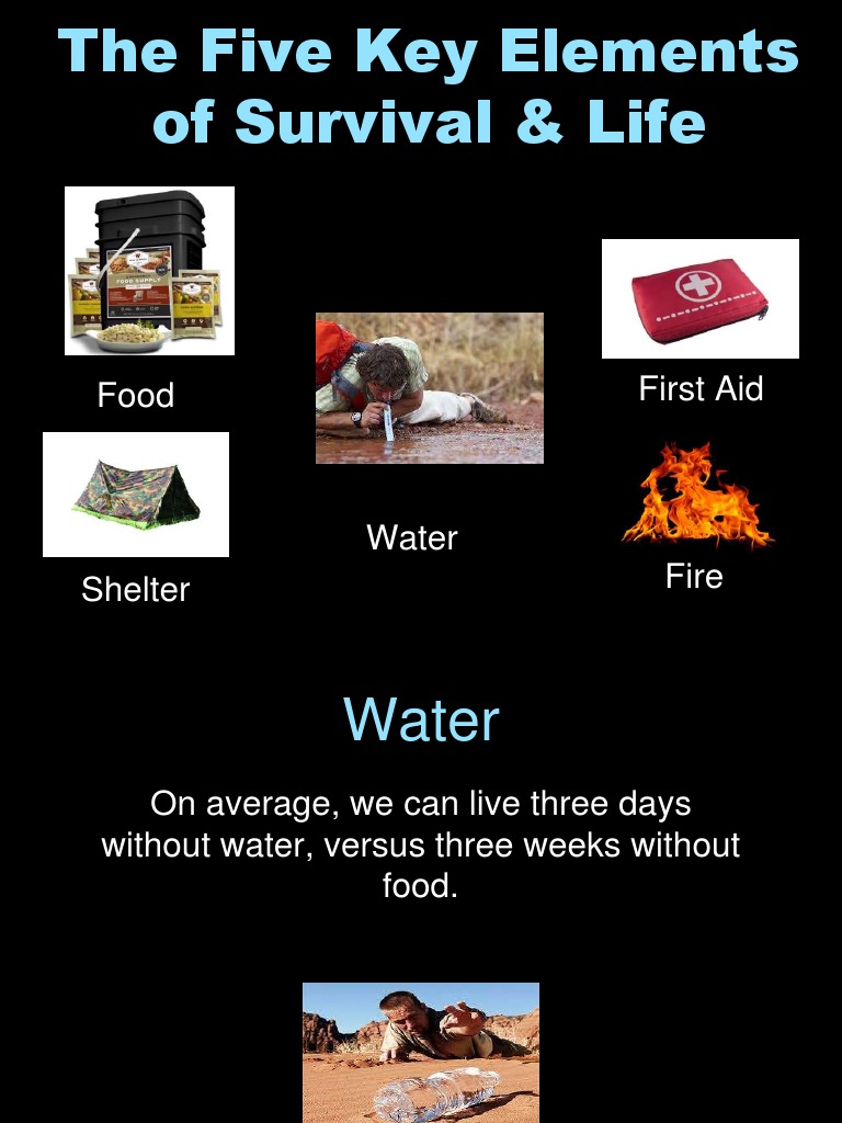 Food First Aid | PDF | Water | Foods