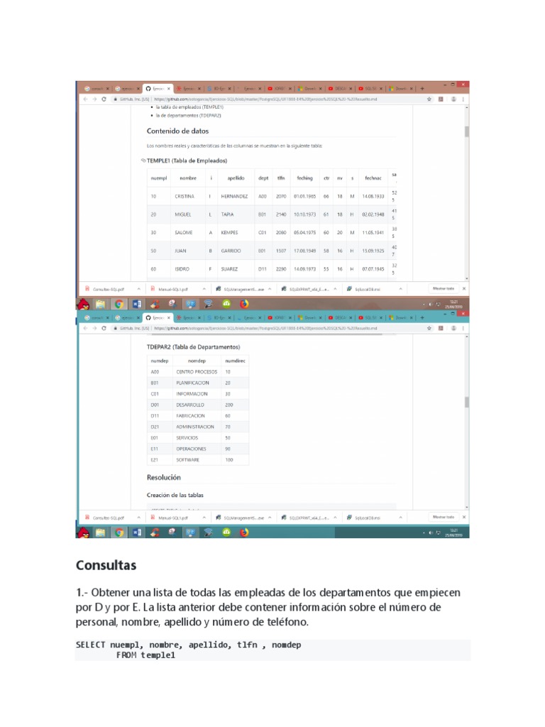 Consultas Ejemplo PDF