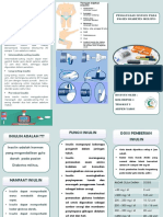 Bst Insulin PDF