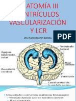 2.- VENTRICULOS Y LCR # 2.pptx