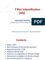 1c. System of Rice Intensification SRI - Selvaraju PDF