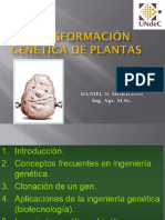 Transformación Genética de Plantas 2019.pptx