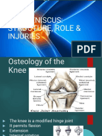 The Meniscus: Injuries: Structure
