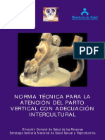 Norma Técnica Del Parto Vertical PDF