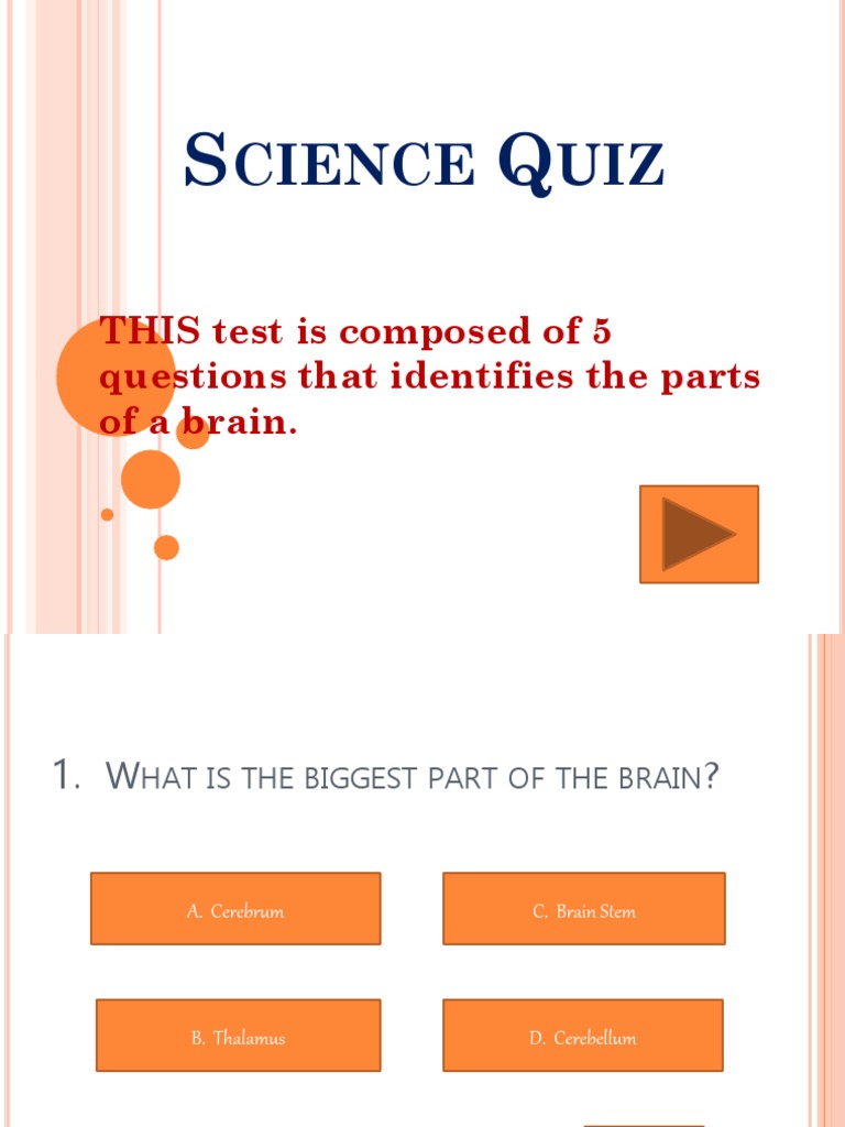 Brain Parts Science Quiz | PDF