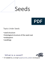 Seeds