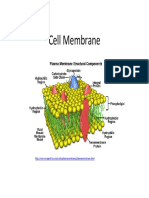 Lab4 Part5 Membranes