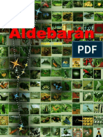 Manual Aldebaran
