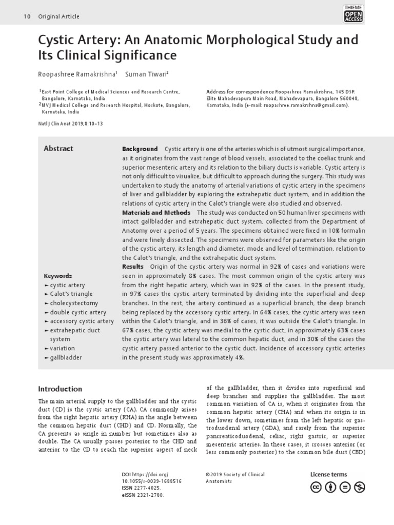Cystic Artery: An Anatomic Morphological Study and Its Clinical ...
