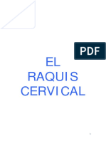 101481861-Osteopatia-Raquis-cervical.pdf