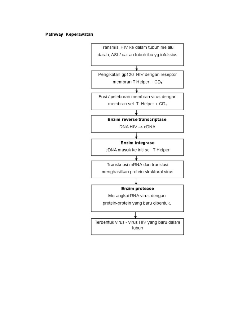 Pathway Patofisiologi Hiv Aids | PDF
