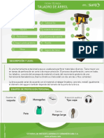 Taladro de árbol: ficha técnica y medidas de seguridad