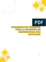 LINEAMIENTOS TECNICOS EMERGENCIAS ACETILENO.pdf