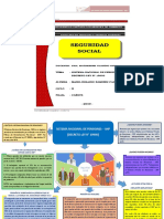 Decreto Ley 19990_ramirez Caillihua Maria