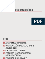 Liquido Cefalorraquideo PDF