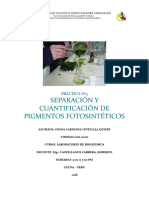 Separación y Cuantificación de Pigmentos Fotosintéticos