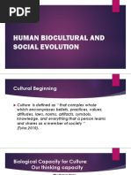 Evolution of Paleolithic Tools | PDF