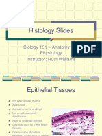 Histology Slides