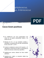 Staphylococcus, Streptococcus Otros