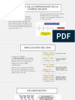 Método de La Terminación de La Cadena de