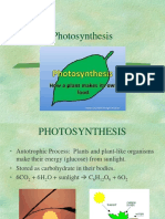 4 Photosynthesis