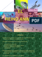 EL Reino Animal