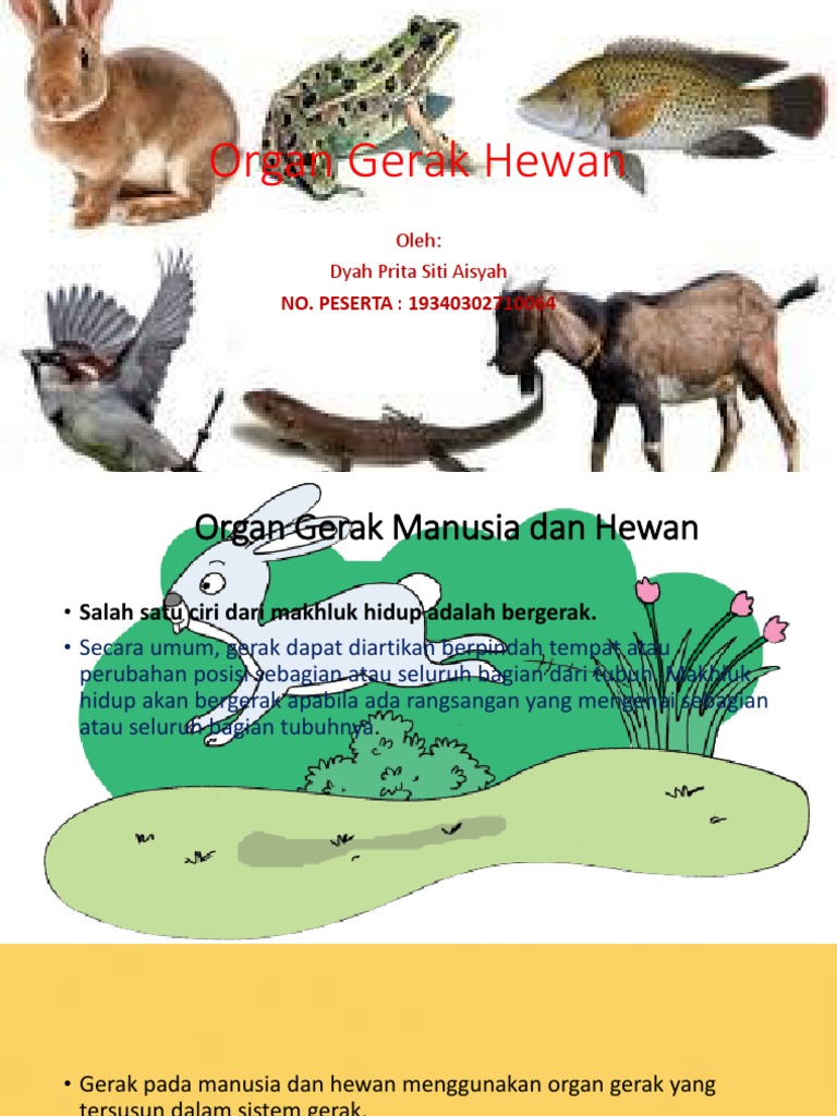 Organ Gerak  Hewan  PPT