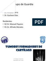 Tumores Formadores de Cartílago 